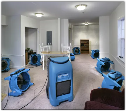Water Damage Restoration services in Mill Creek, WA