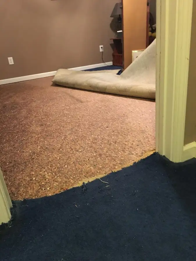 Carpet pad removal revealing water damage during Drying & Dehumidification in Mill Creek