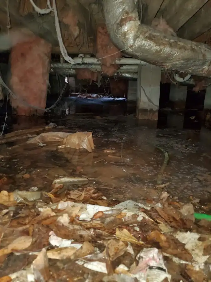 Crawl space flood assessment for Leak Detection & Repair in Mill Creek